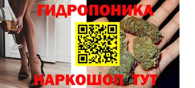 дмт Тверь